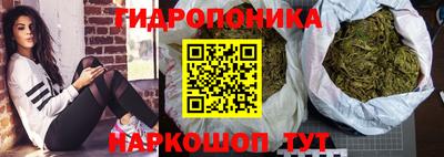 молекула духа Обнинск
